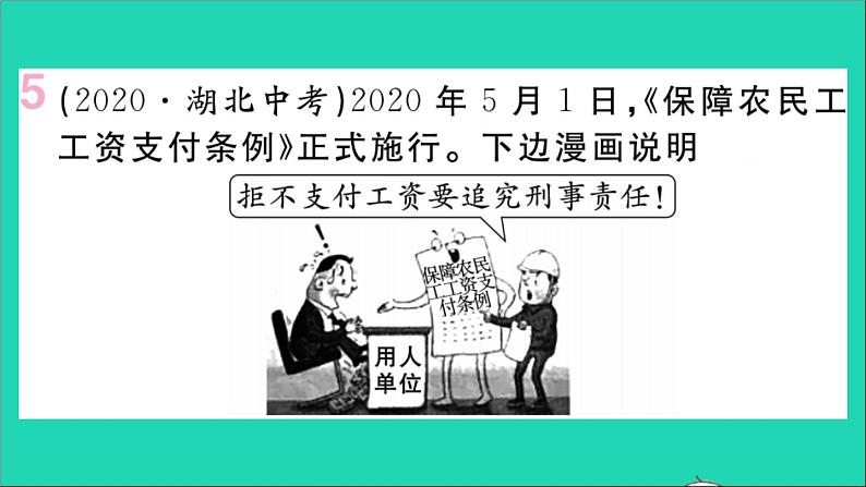 政治人教版八年级下册同步教学课件第4单元崇尚法治精神单元小结作业第6页