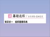 政治人教版八年级下册同步教学课件第1单元坚持宪法至上第1课维护宪法权威第2课时治国安邦的总章程作业