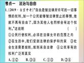 政治人教版八年级下册同步教学课件单元考点精练篇第4单元崇尚法治精神考点精练作业