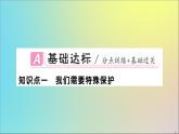 政治人教版七年级下册同步教学课件第4单元走进法治天地第十课法律伴我们成长第1课时法律为我们护航作业