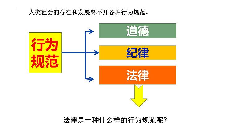 5.1 法不可违 课件-2022-2023学年部编版道德与法治八年级上册 (1)05