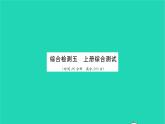 政治人教版九年级上册同步教学课件综合测试习题