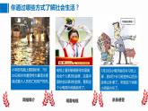 1.1我与社会 课件-2022-2023学年部编版八年级道德与法治上册