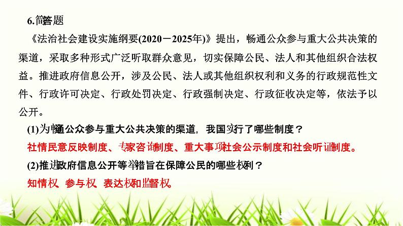 人教部编版九年级道德与法治上册第三课追求民主价值第2课时参与民主生活PPT课件第8页