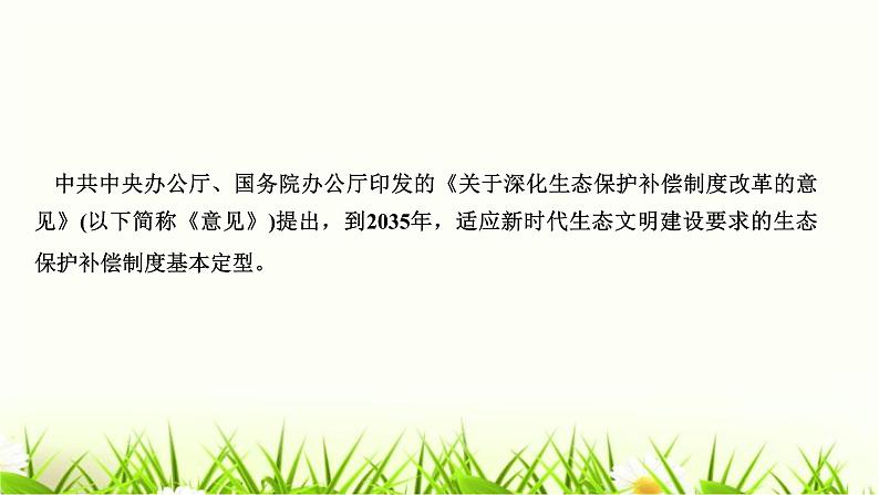 人教部编版九年级道德与法治上册热点突破专题(三)完善补偿机制建设生态文明PPT课件03