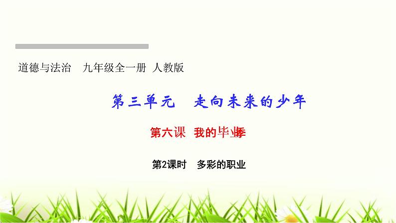 人教部编版九年级道德与法治下册第六课我的毕业季第2课时多彩的职业PPT课件第1页