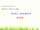 人教部编版九年级道德与法治下册第三单元综述PPT课件