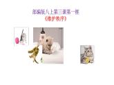 部编版八年级上册道德与法治--3.1维护秩序（精品课件）