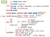 部编版9上道德与法治第二单元《民主与法治》复习课件+测试题