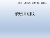 部编版七年级道德与法治上册10.1感受生命的意义课件
