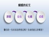 部编版七年级道德与法治上册10.1感受生命的意义课件