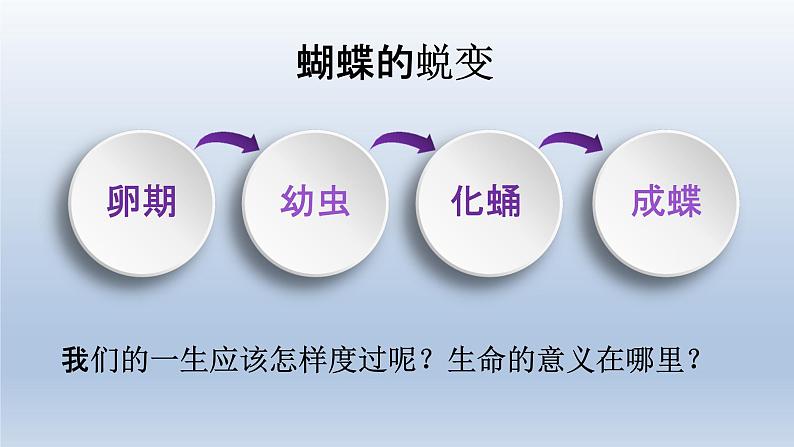 部编版七年级道德与法治上册10.1感受生命的意义课件第3页