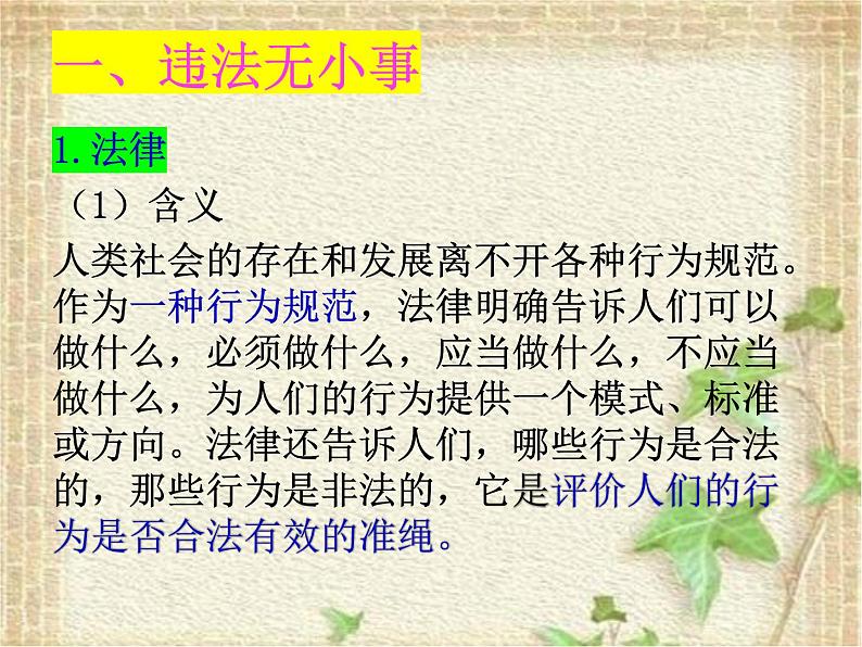 5.1 法不可违 课件-2022-2023学年部编版道德与法治八年级上册03