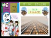 统编版初中道德与法治八年级上册5.2 预防犯罪  课件 (2)