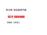 部编版道德与法治九年级上册--9.6.2《共筑生命家园》 （课件+视频素材）