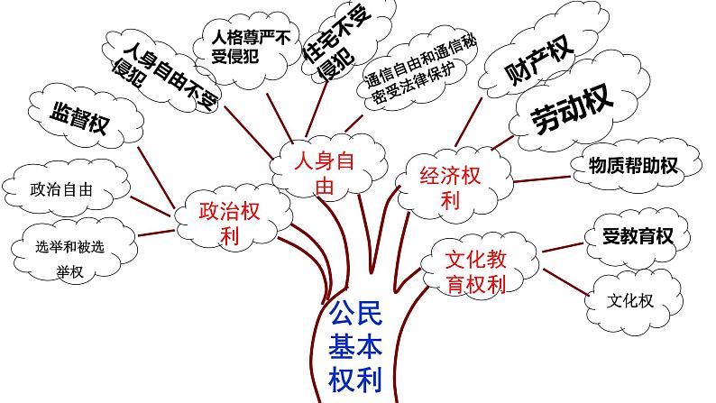 3.1 依法行使权利 课件第1页