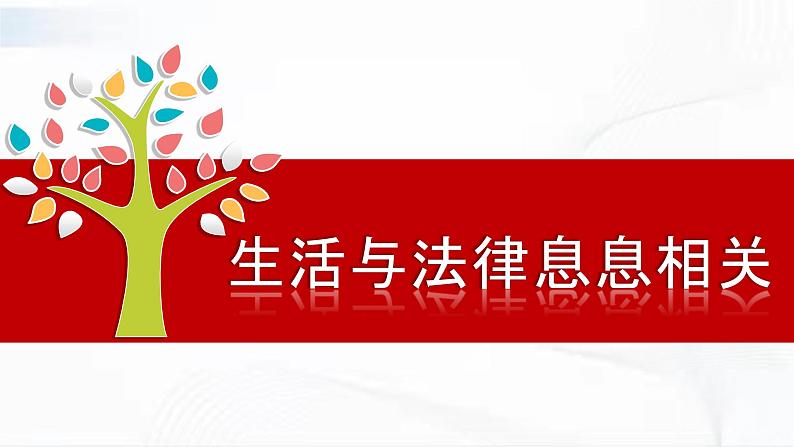 部编版道德与法治七年级下册 9.1生活需要法律 课件第5页