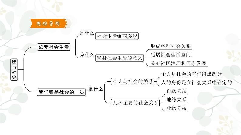 1.1 我与社会 课件-2022-2023学年部编版道德与法治八年级上册第4页