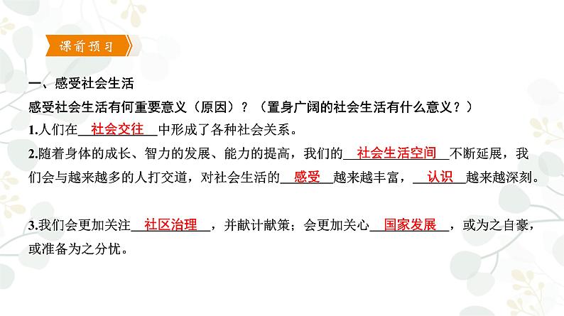 1.1 我与社会 课件-2022-2023学年部编版道德与法治八年级上册第5页