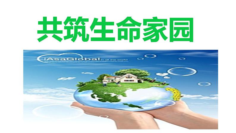 部编版九年级道德与法治上册（精品课件）6.2共筑生命家园01