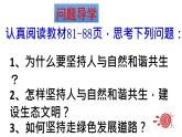 部编版九年级道德与法治上册（精品课件）6.2共筑生命家园