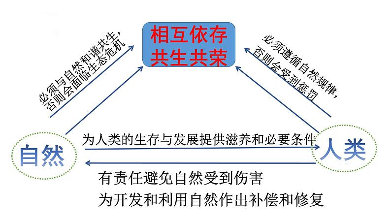 部编版九年级道德与法治上册（精品课件）6.2共筑生命家园06