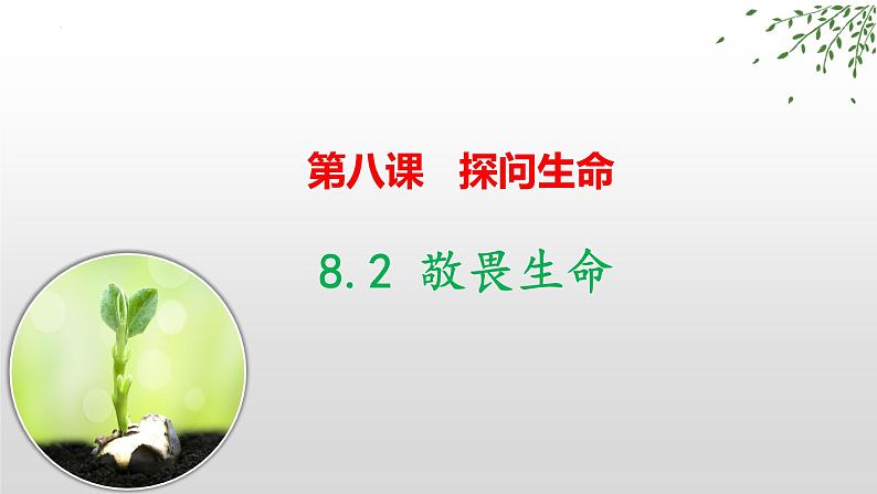 统编版 道德与法治 七年级上册 8.2 敬畏生命（课件）01