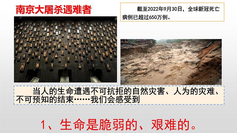 统编版 道德与法治 七年级上册 8.2 敬畏生命（课件）04