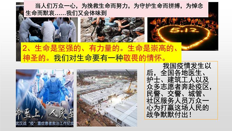 统编版 道德与法治 七年级上册 8.2 敬畏生命（课件）06