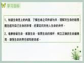 统编版 道德与法治 七年级上册 8.2敬畏生命_1（课件）