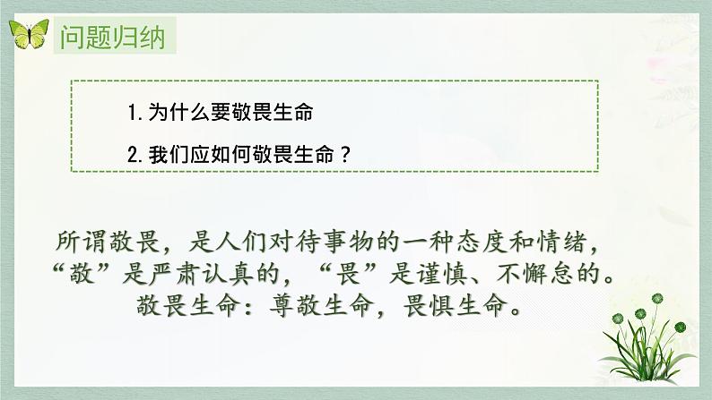 统编版 道德与法治 七年级上册 8.2敬畏生命_1（课件）第3页