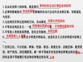 八下道德与法治专题复习 自由平等公平正义 课件