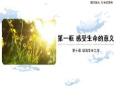 10.1 感受生命的意义-精品课件