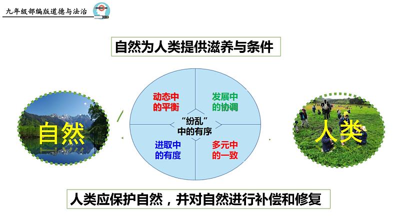 统编版道德与法治 九年级上册 同步课件  6.2  共筑生命家园  课件05