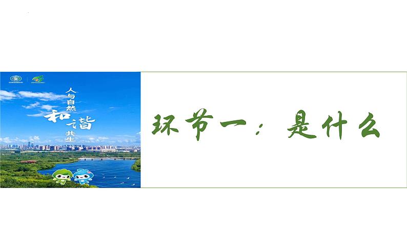 统编版道德与法治 九年级上册 同步课件  6.2 共筑生命家园  课件08