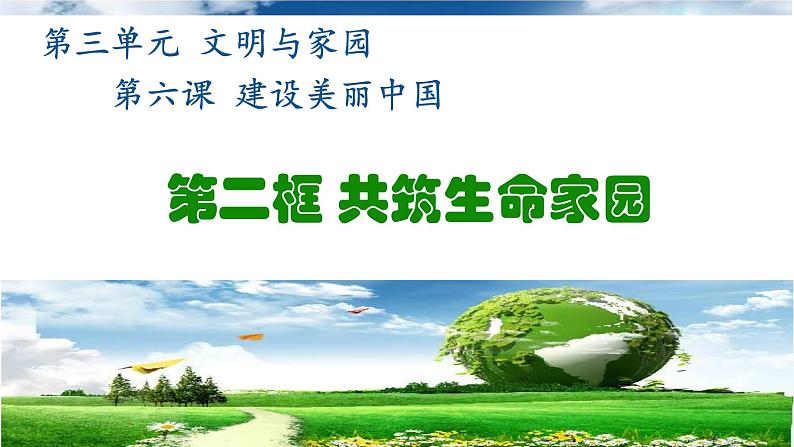 统编版道德与法治 九年级上册 同步课件  6.2 共筑生命家园  课件 (2)01