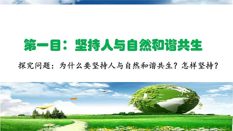 统编版道德与法治 九年级上册 同步课件  6.2 共筑生命家园  课件 (2)03