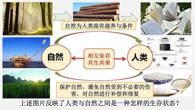 统编版道德与法治 九年级上册 同步课件  6.2共筑生命家园05