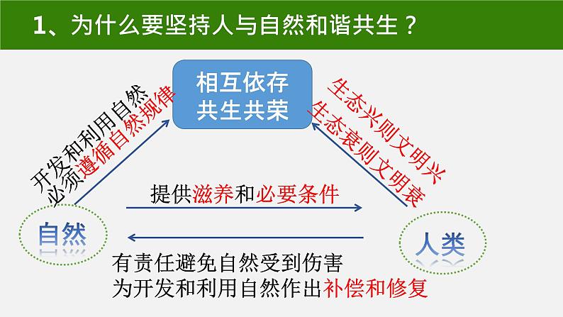 统编版道德与法治 九年级上册 同步课件  6.2共筑生命家园07
