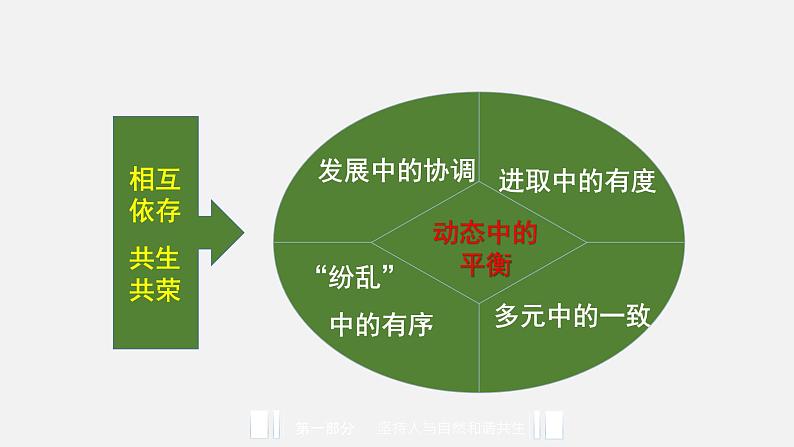 统编版道德与法治 九年级上册 同步课件  6.2共筑生命家园08