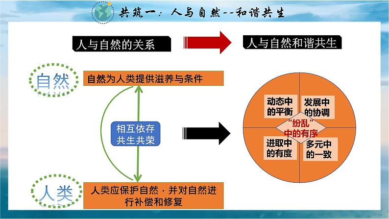 统编版道德与法治 九年级上册 同步课件  6.2共筑生命家园 (2)06