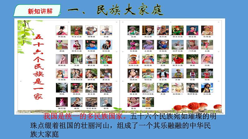 部编版九年级道德与法治上册--7.1促进民族团结（精品课件1）第3页