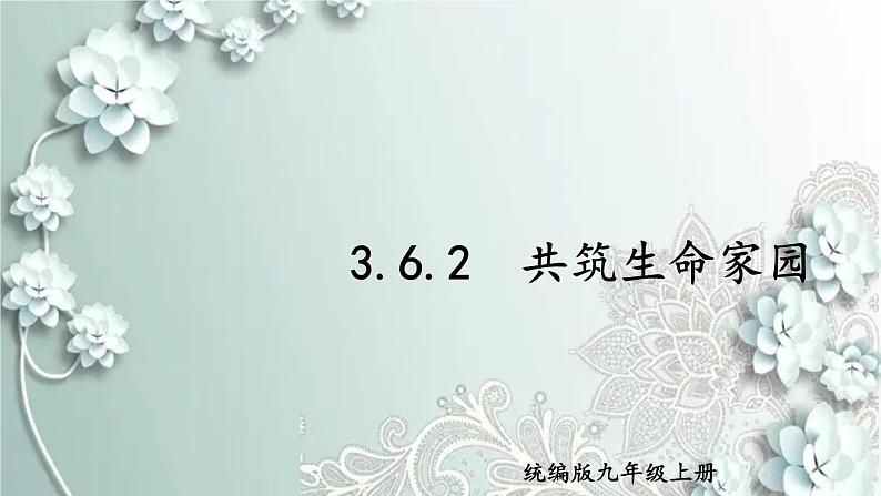 部编版道德与法治九年级上册 3.6.2 共筑生命家园 课件01