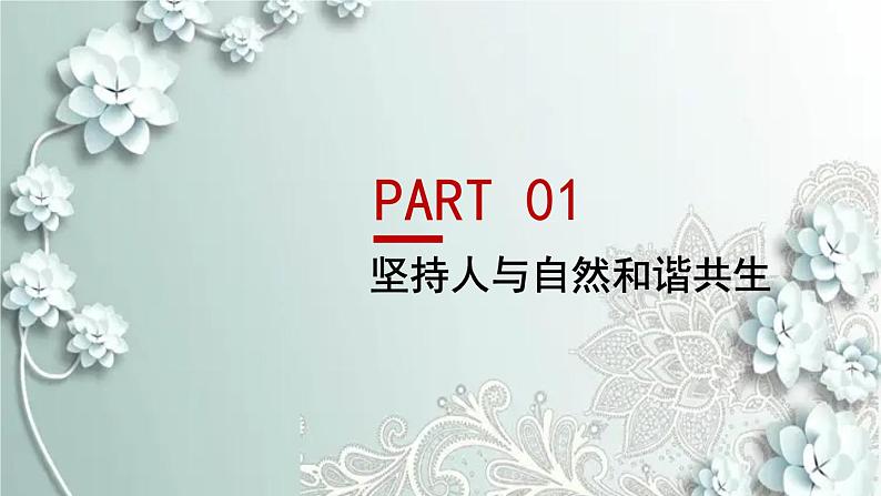 部编版道德与法治九年级上册 3.6.2 共筑生命家园 课件05