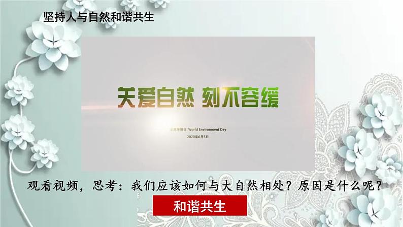部编版道德与法治九年级上册 3.6.2 共筑生命家园 课件06