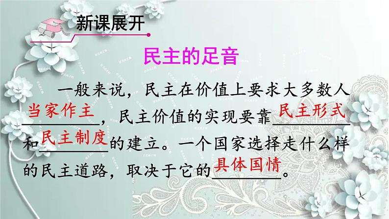 部编版道德与法治九年级上册 第1课时 生活在新型民主国家 课件第6页