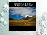 部编版道德与法治九年级上册 第2课时 共筑生命家园 课件