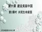 部编版道德与法治九年级上册 第2课时 共筑生命家园 课件