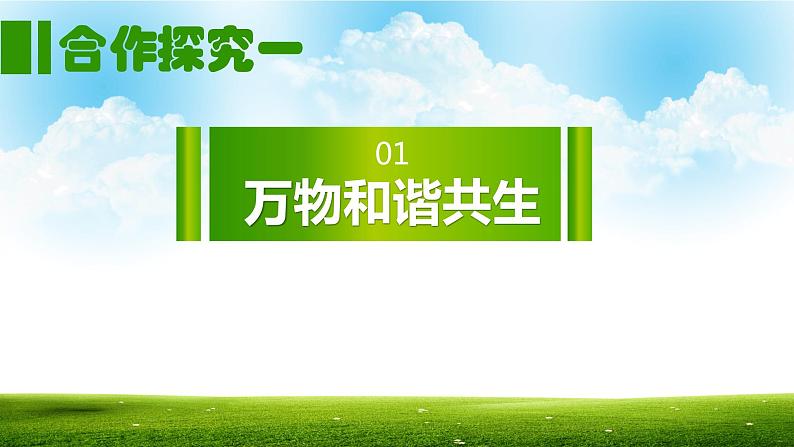 部编版道德与法治9年级上册6.2《共筑生命家园》课件+教案+导学案+素材05