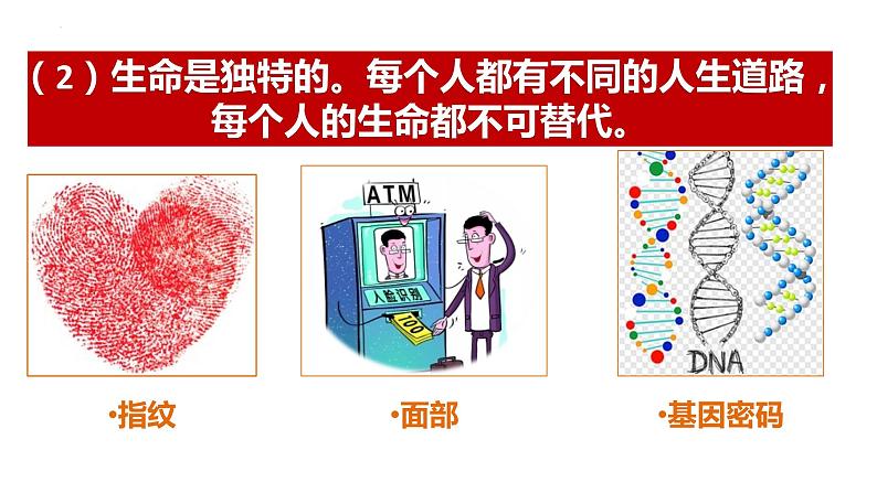 8.1 生命可以永恒吗 课件-2022-2023学年部编版道德与法治七年级上册04